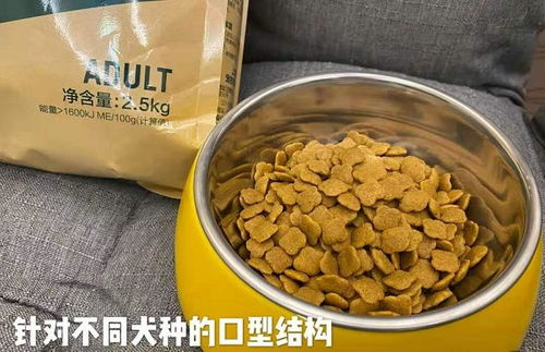 耐威克狗粮 锁定挑剔胃口，为爱宠开启“好吃不贵”的私享时光