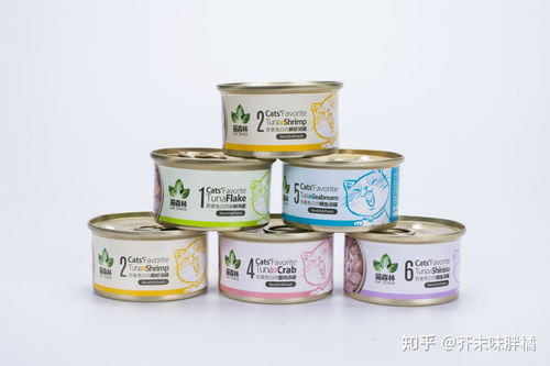 踩了800次坑才敢告诉你 挑猫罐最重要的是它！